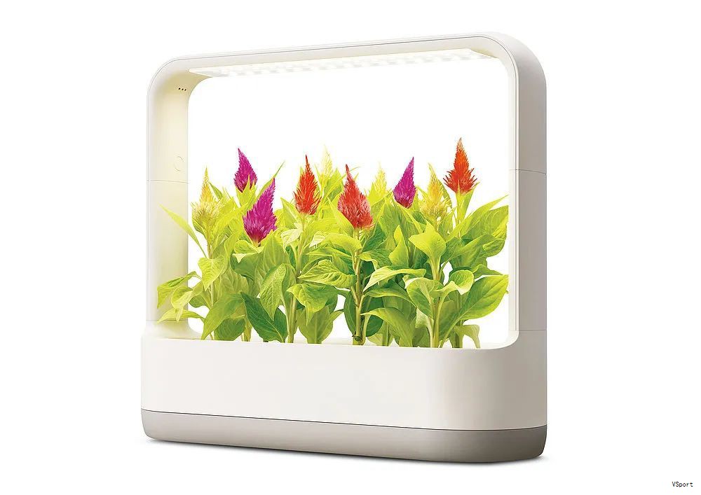 光照分为软光与硬光两大类别,并各自具备独特的特性与应用场景。 光照分为软光与硬光两大类别,并各自具备独特的特性与应用场景。