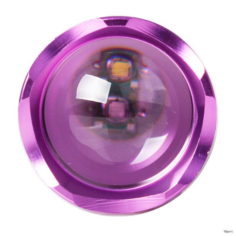 基础研究（10 项）