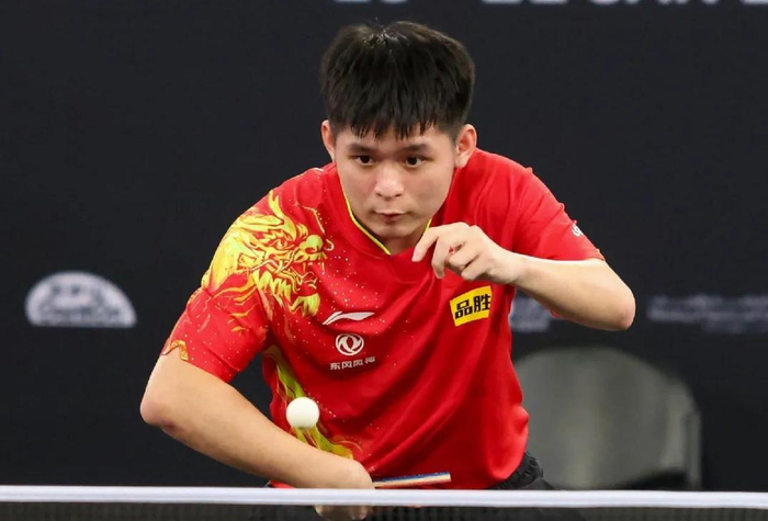 林诗栋因伤病退赛引争议，背后揭示职业运动员