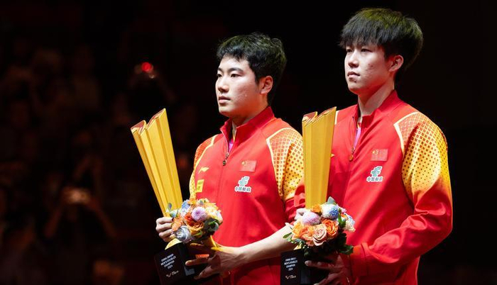 林诗栋因伤病退赛引争议，背后揭示职业运动员