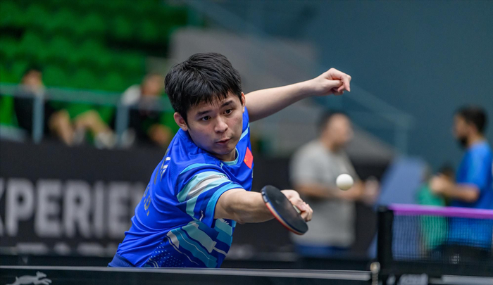 林诗栋因伤病退赛引争议，背后揭示职业运动员