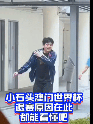 林诗栋因伤病退赛引争议，背后揭示职业运动员