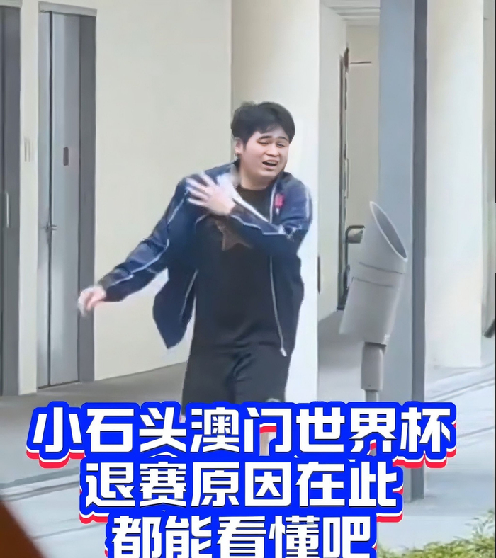 林诗栋因伤病退赛引争议，背后揭示职业运动员