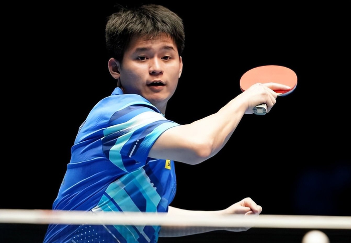 林诗栋因伤病退赛引争议，背后揭示职业运动员